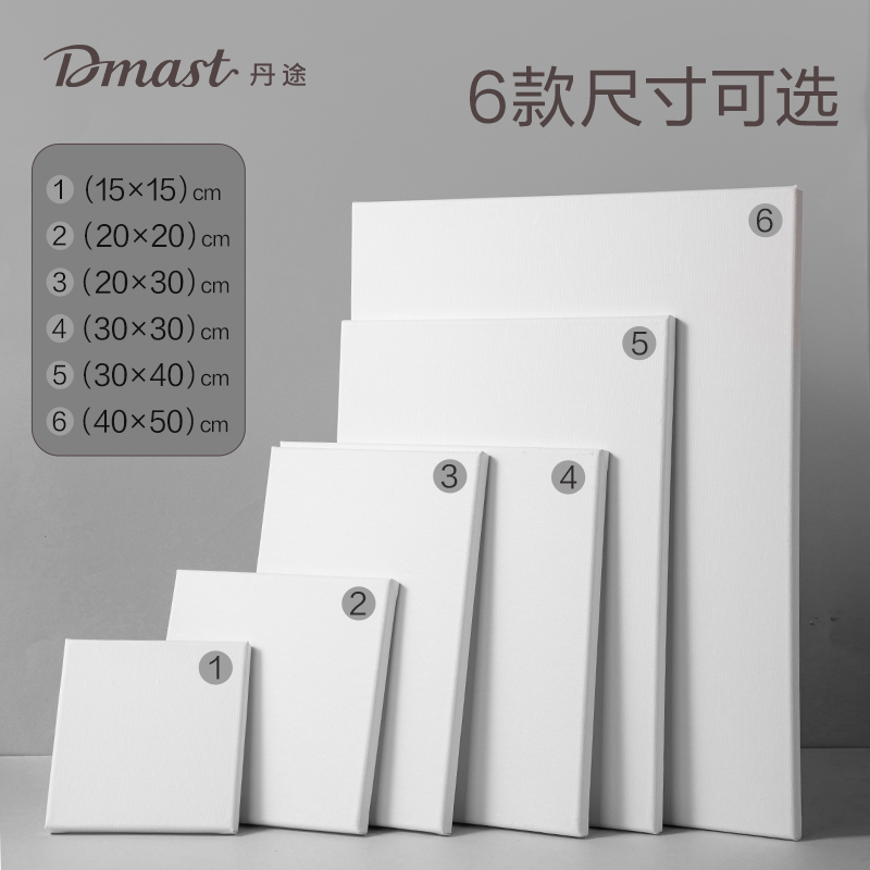 dmast丹途RS100-1画布框-15*15cm(混)(个)