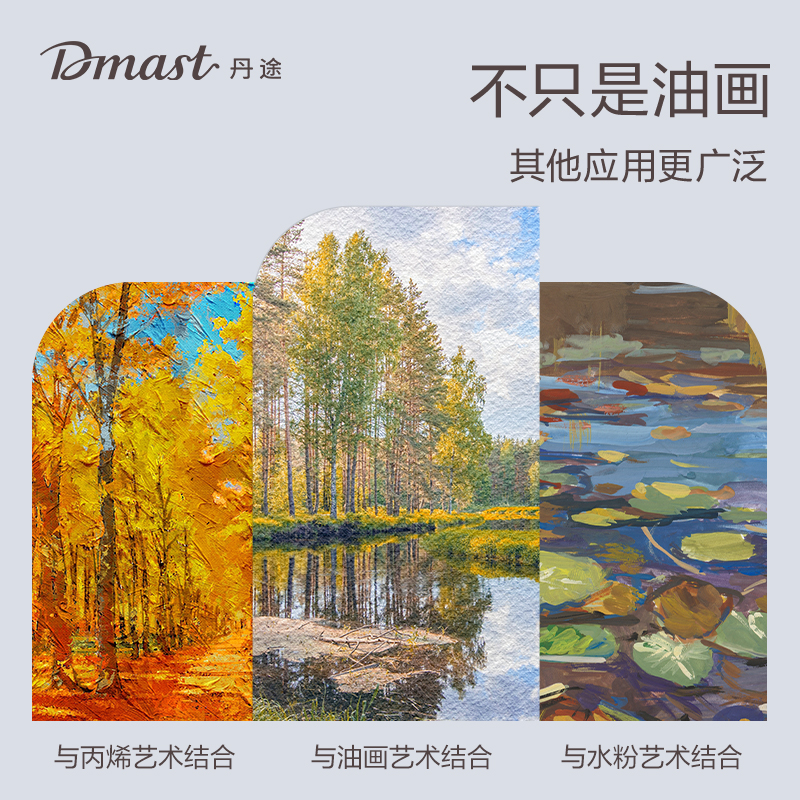 dmast丹途RS100-6画布框-40*50cm(混)(个)